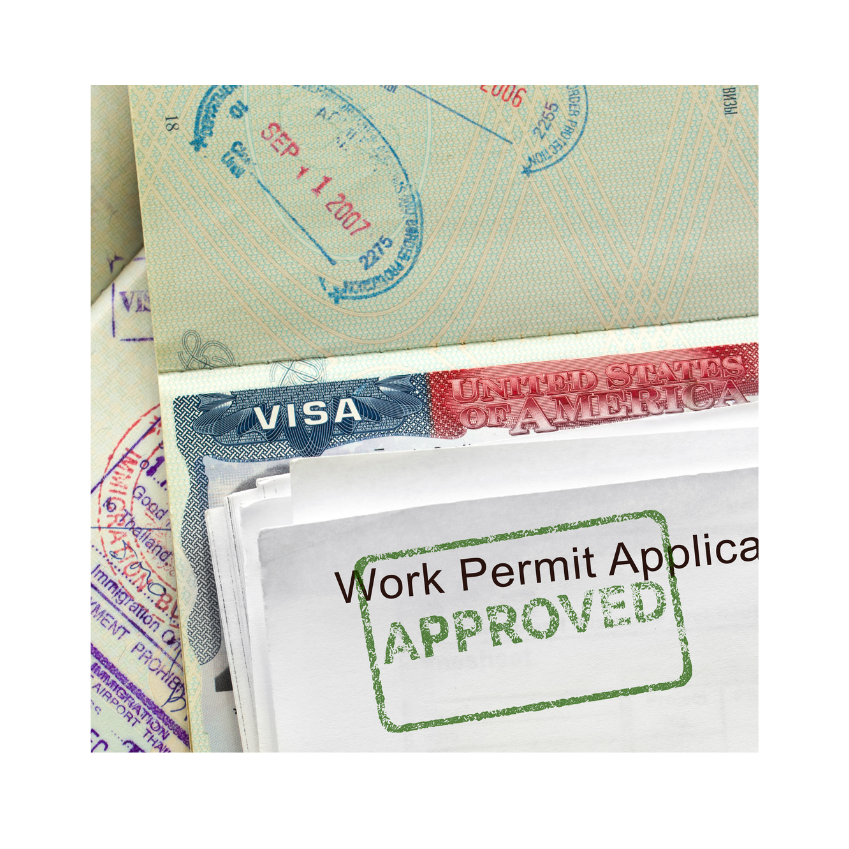 Non-Immigrant B visa and work permit company structure review Thailand